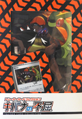 Trainer card collection Raihan's Indomitable