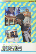 Trainer card collection Nessa's Holiday